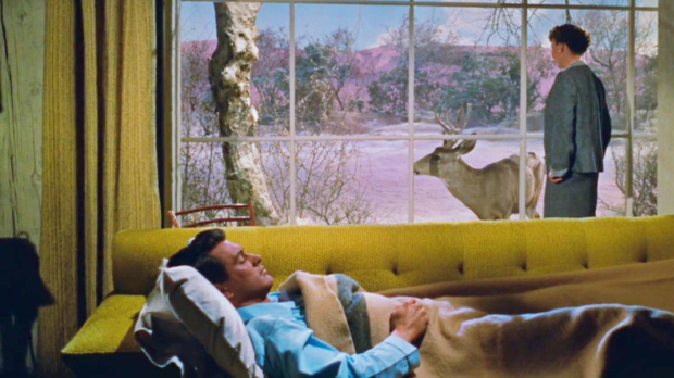 Magnificent Melodramas: Douglas Sirk & Russell Metty